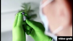 COVID-19-ի դեմ Pfizer/BioNTech-ի պատվաստանյութը, արխիվ