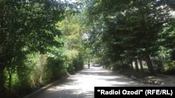 Маҳалли қатли Мадина. Акс аз 1 июл