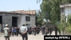 Колония в Ново-Покровке. 