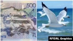 Банкнота номиналом 500 тенге и фото, сделанное канадским фотографом-любителем Кейт Тестер.