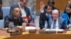 Представник США на Радбезі ООН закликав Росію прийняти угоду про припинення війни з Україною