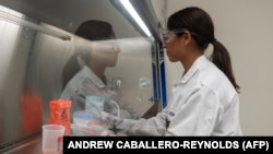 Доктор Соня Мациевски проводит образцы белков в лабораториях Novavax в Роквилле, штат Мэриленд, 20 марта 2020 года, в одной из лабораторий, разрабатывающих вакцину от коронавируса COVID-19.    