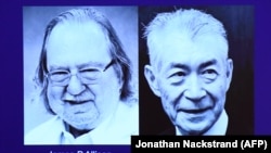 Нобелдин медицина жана физиология боюнча сыйлыгынын быйылыкы лауреаттары: америкалык илимпоз Жеймс Эллисон жана жапониялык иммунолог Тасуку Хондзе.