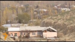 Айылга бүлүк салган жолбун иттер