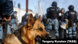 Бойцы силового подразделения ГУФСИН России