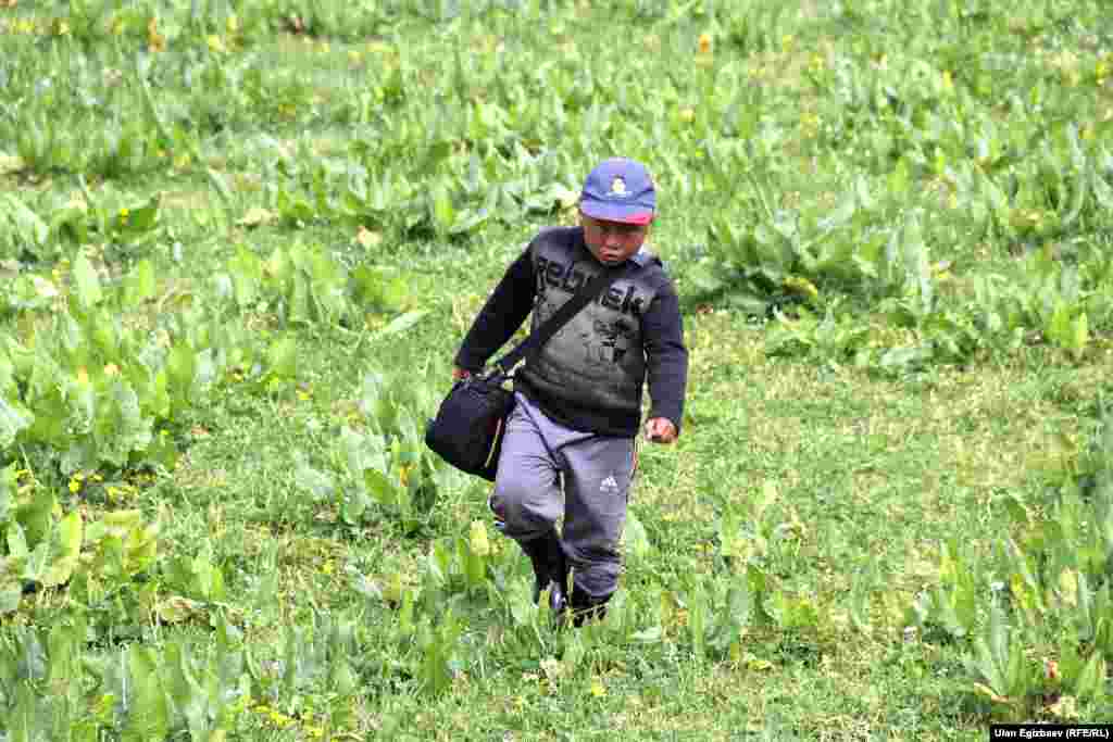 Почточу Жумадил.&nbsp;