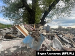 Дървото, под което всяка седмица през последните три години доброволката Мария Дачева чете книги с децата от махалата, 22 април 2025 г.