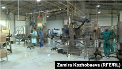 Иллюстрациялык сүрөт.