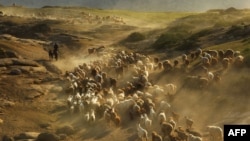 Кытайдын ШУАРына караштуу Алтай аймагындагы малчы казактар. 2.6.2012.