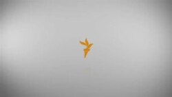 Арест или подписка?