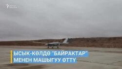 Кыргызстандын жарандыгын алгандар көбөйдү