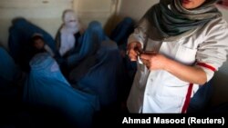 آرشیف - عکس جنبه تزئینی دارد