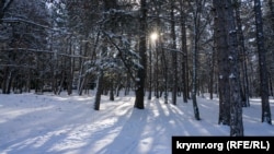 На Прикарпатті сьогодні вдень +3…5 градусів, у Закарпатській області – +7…9, без істотних опадів.