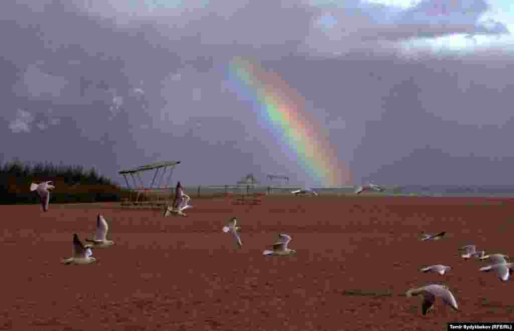 Күн желеси жээкке төгүлдү.&nbsp;