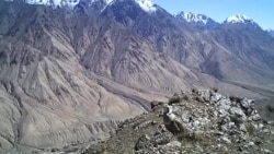 ...Улар үнүн уккан барбы?