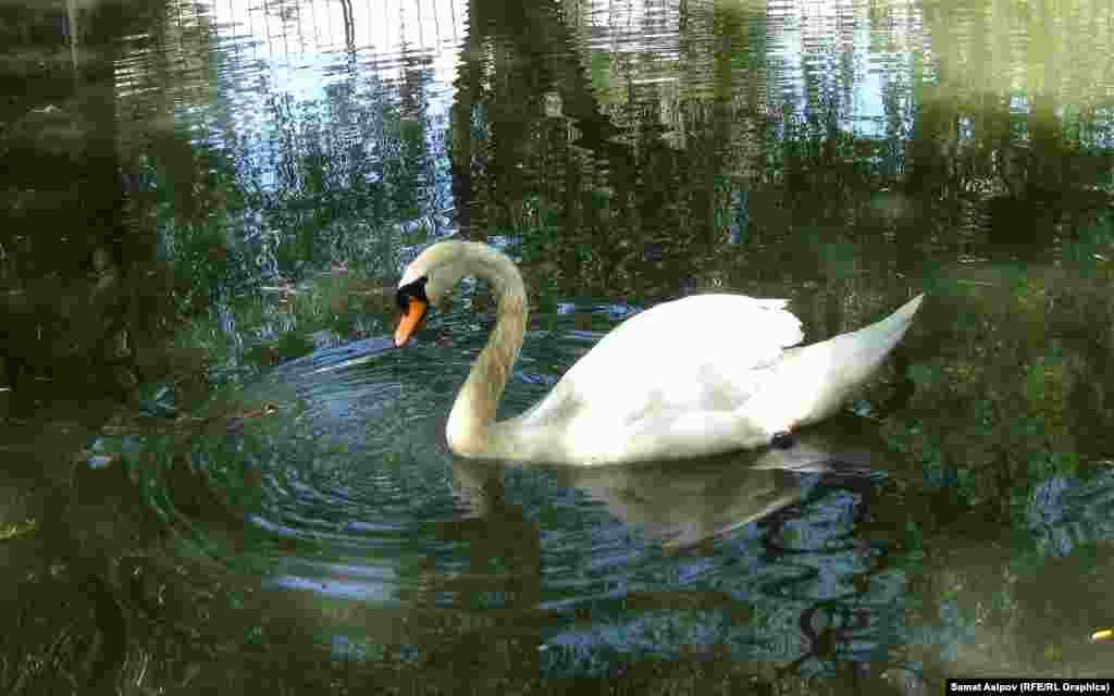 Аккуу.&nbsp;​