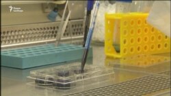 Медицина больших данных. Исцелит ли нас ИИ?