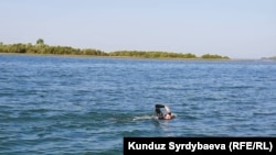 Владислав Шулико. 