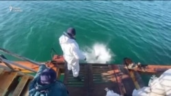 Авария в Керченском проливе спустя полгода