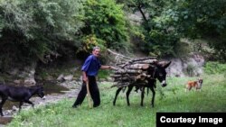 По мнению специалистов, в случае если ресурсов достаточно, необходимо снять все ограничения, связанные с заготовкой дров, если же нет, то государство должно предложить населению альтернативные источники энергии