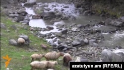 Գյուղացիների վատագույն կանխատեսումները, թե երրորդ ՀԷԿ-ի շահագործման հետևանքով Մարց գետը կցամաքի, իրականություն են դարձել 