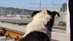 Робітники перекрили залізничним міст у Києві