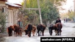 Туркменистан, октябрь, 2013 (иллюстративное фото) 