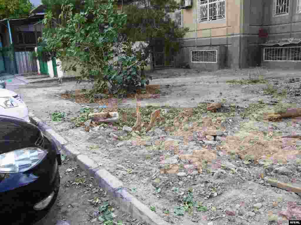 "Bolýan zatlara ýüregim çydanok" #6