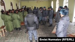 Последствия драки в Куршабе