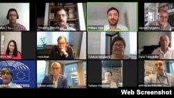 Участники онлайн-встречи, организованной 15 июля Европейским парламентом