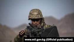 Иллюстрациялык сүрөт.