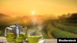 Иллюстрациялык сүрөт. 