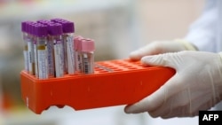 Иллюстрациялык сүрөт. 