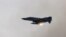 Турецкий самолет F-4