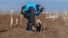 Dmytro Borovyi and Atlas search through the minefield next to Vavilove, Ukraine on a mechanically prepared area.