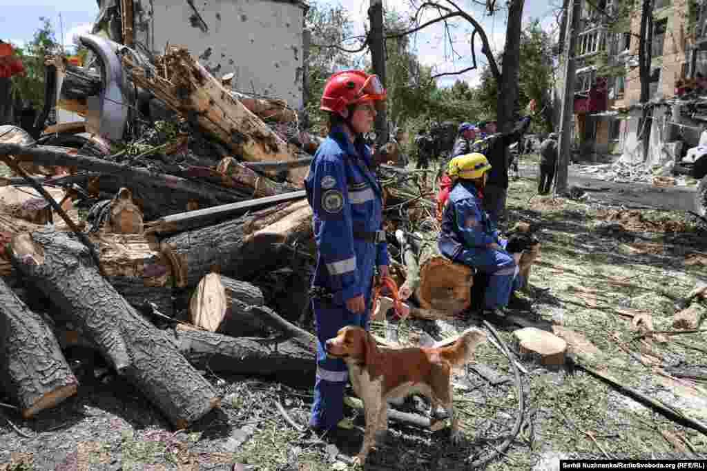 До розбору завалів також залучені пошукові собаки