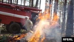 Силы, брошенные на борьбу с лесными пожарами, по мнению экспертов, недостаточно квалифицированы для этой работы.