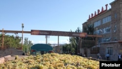 Armenia -- A truckload of grapes is transported to a storage facility in Ararat region run by the Yerevan Brandy Company.