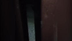 Сурхондарё вилоятида чегарачи ҳарбийлар патрули қочқинларни изламоқда