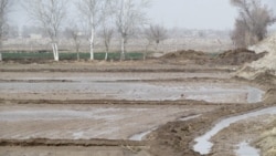 Türkmenistanda ýer gaznasy döredildi