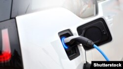 Иллюстрация үчүн колдонулган сүрөт. 