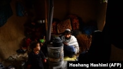 عکس از آرشیف جنبه تزئینی دارد