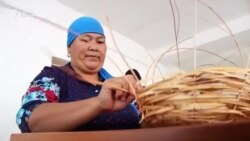 Кесиптик билимге ыктагандар көбөйдү