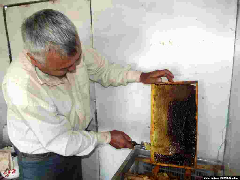 Аарынын күчүнө жана отурукташкан жердин чөбүнө, гүлдөрүнө жараша бир бал челектен бир жумада бир жолу бал чапталат, эгер аарынын күчү жок болсо бир сезондо бир гана жолу чапташы мүмкүн.