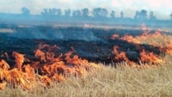 Նախորդ տարվա համեմատ այս տարի հրդեհների աճը կազմում է շուրջ 74 տոկոս