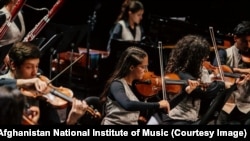 اعضای انستیتیوت ملی موسیقی افغانستان (عکس آرشیف) 