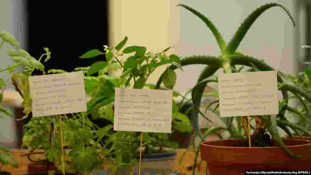 Калле Хамм, Дзаміль Камангер, &laquo;Сад незадокументованих&raquo;. Художники представили 14 рослин, які таємно перевезли з-за кордону в Фінляндію. Згідно з законодавством ЄС, на його територію дозволено шамозити не більше 20 одиниць зрізаних квітів, а решта мають мати відповідну документацію до ввезення. Автори, один із яких походить з Ірану, використовують рослини, як метафору біженців.