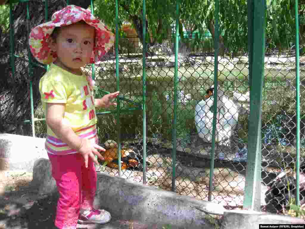 Зоопаркка кирүү акысы чоңдорго 70 сом, балдарга 50 сомдон