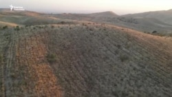 Климаттын өзгөрүшү: Арстанбаптын азыркы абалы