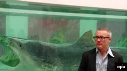 Дамиен Херст. Физическая невозможность смерти в сознании живущих. 1991 год